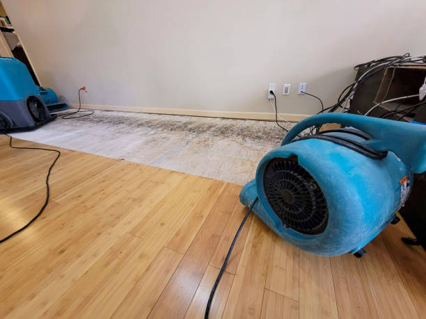 Professional Structural Drying technician working in Marco Island, FL